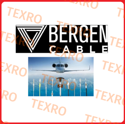 Bergen Cable Technology Llc