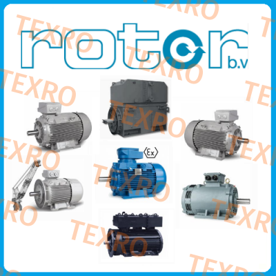 Rotor