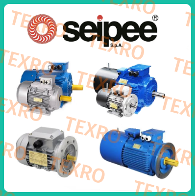 SEIPEE-4160017 