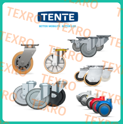 Tente-9958FTP150P65 (Teilenummer: 00806805-GS)