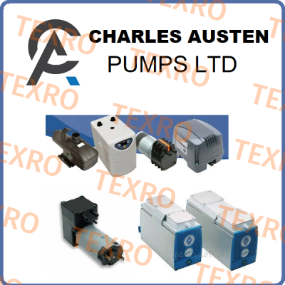 Charles Austen Pumps-X31-002