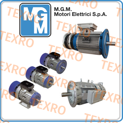 M.G.M MOTORI-MGM 0,75 kW - B5 BA 80 B4  old code, new code  BAX 80B4 IE3, BAX80B4B5DM