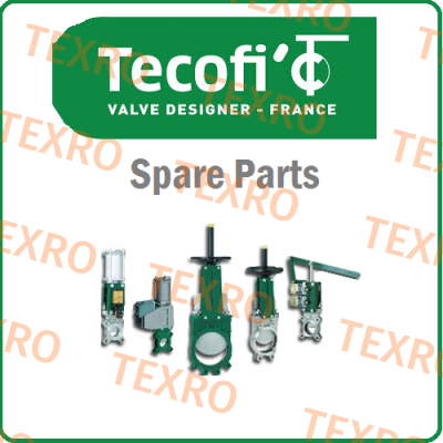 Tecofi-Piston for VG3400 DN150