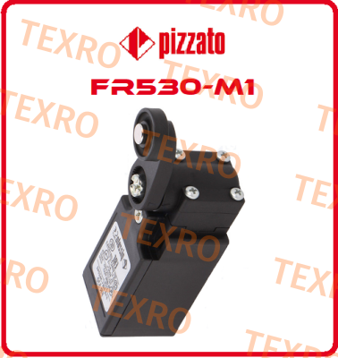 Pizzato Elettrica-FR530-M1