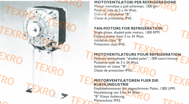 Euro Motors Italia-82-2007