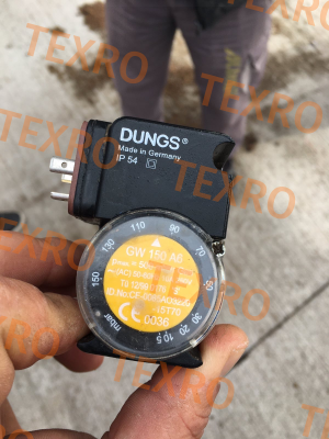 Dungs-228726 GW 150 A6