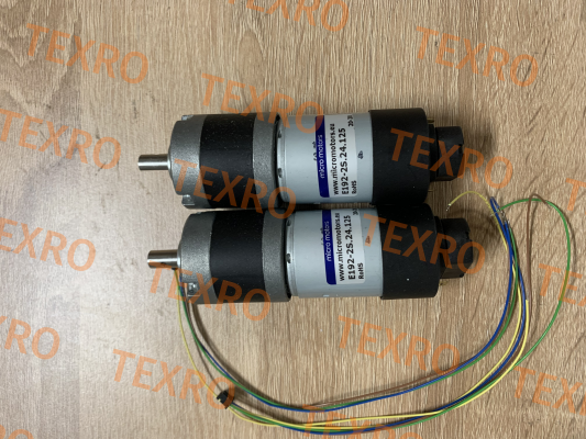 Micro Motors-E192-2S.24.125