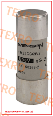 Mersen-FR22GG69V50P (M213612) 