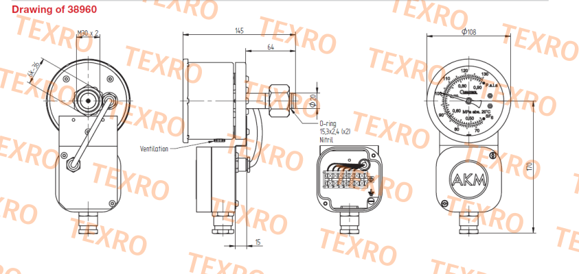 Qualitrol-38960-3 