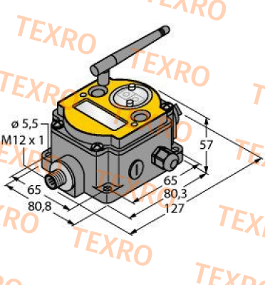 Turck-DX99N2X2S2N0T4X0A0